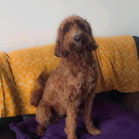 Seaglass - Holiday home Redcar