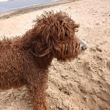 Seaglass - * Редкар