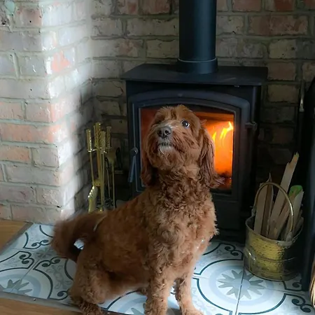 Seaglass - Дом отдыха